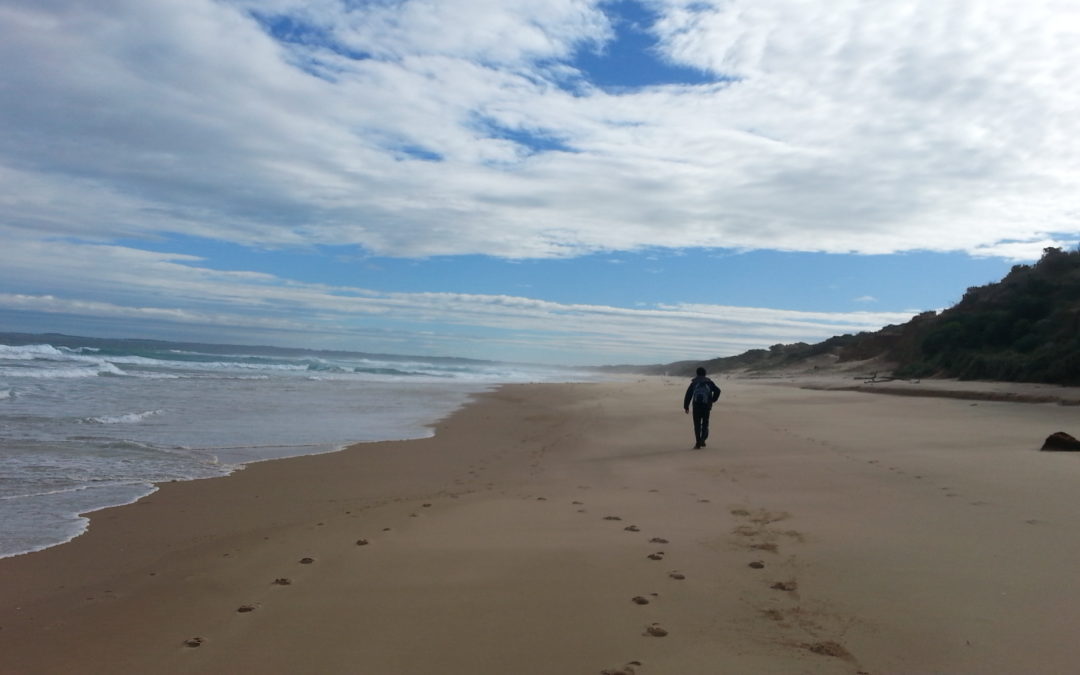 tim chan walking on the beach